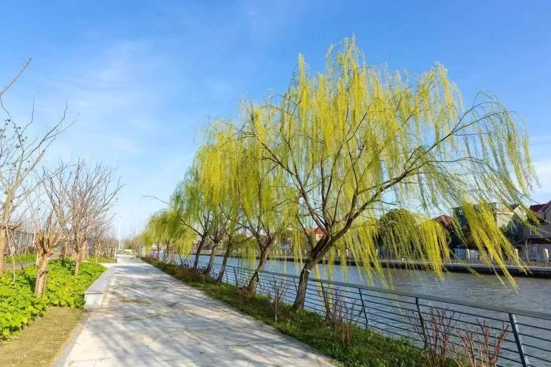 坐标青浦  环意长三角公开赛启动线下打卡活动