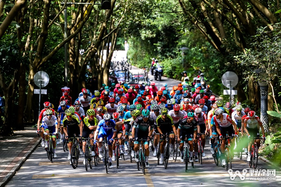 全年35场大赛 2023年UCI世巡赛赛历一览