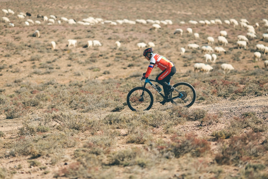 以美酒之名发起“战争”  贺兰山东麓山地旅游自行车挑战赛