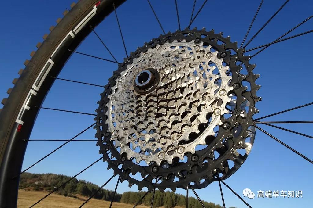 2019 Pinkbike年度大奖（山地）