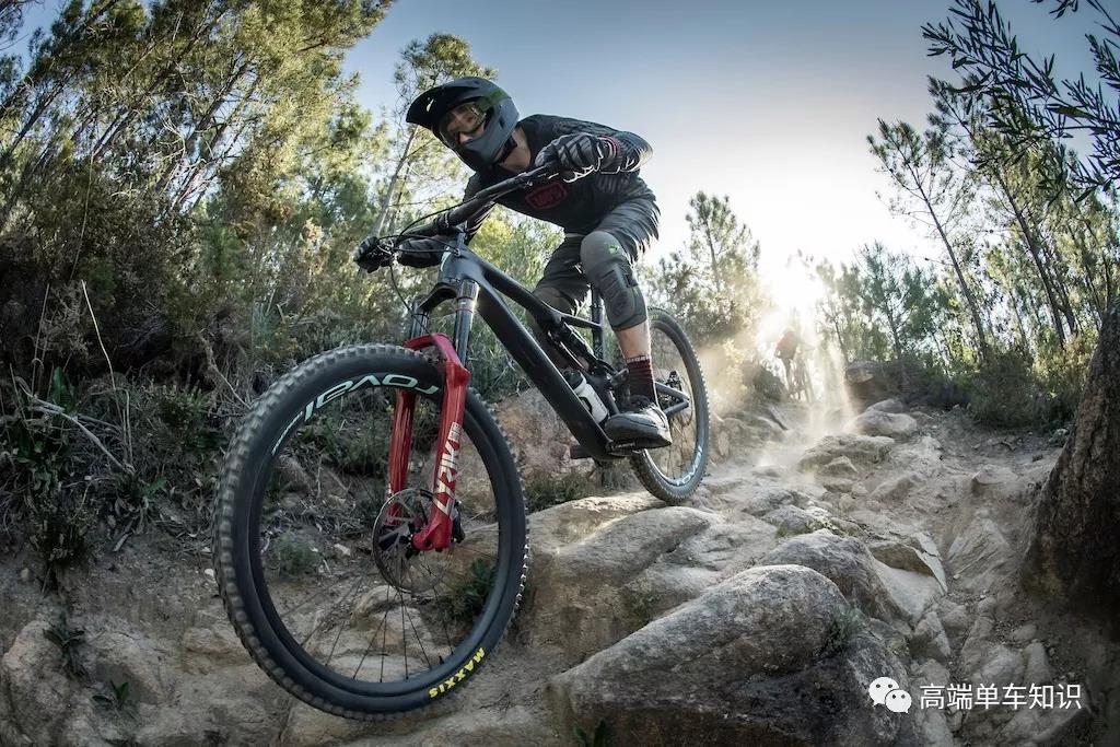 2019 Pinkbike年度大奖（山地）