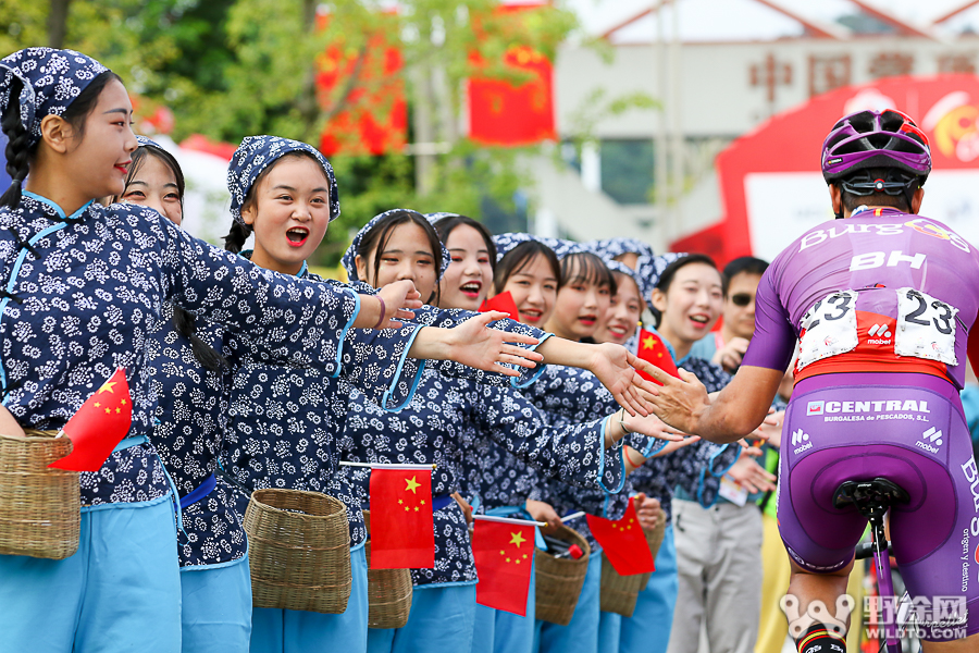 图个好看 | 2019赛场内外的那些美人儿