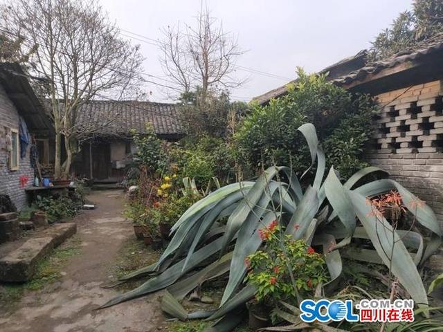 46岁骑游中国61岁念大学81岁出书 学霸爷爷登央视舞台
