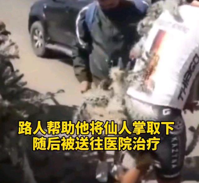 野途,野途传媒,wildto 男子骑车失控摔入仙人掌丛 网友:看着都痛