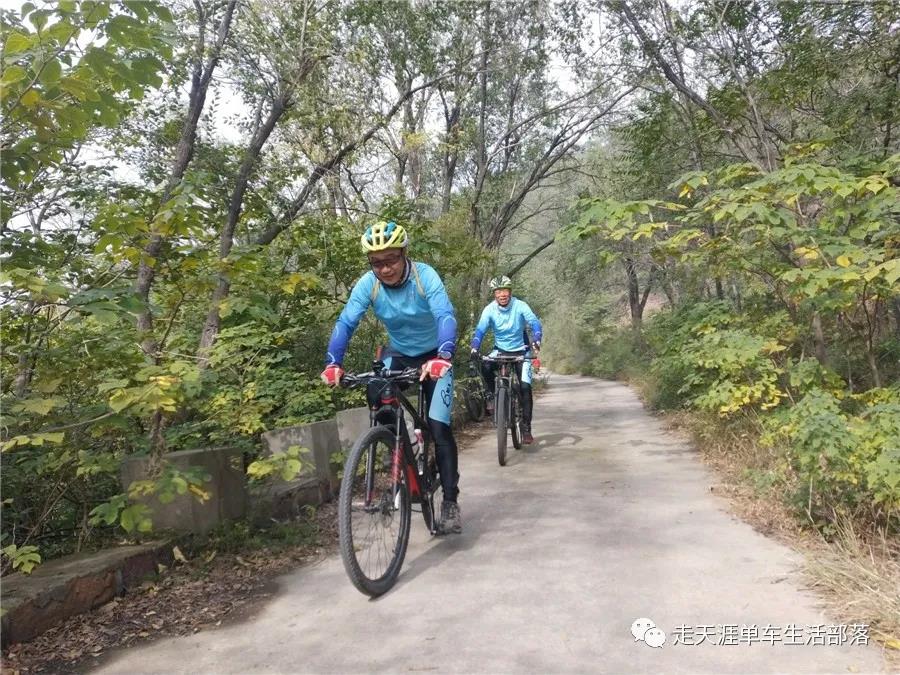 金秋十月约骑洛阳香山寺  赏最美秋色