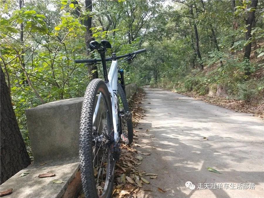 金秋十月约骑洛阳香山寺  赏最美秋色