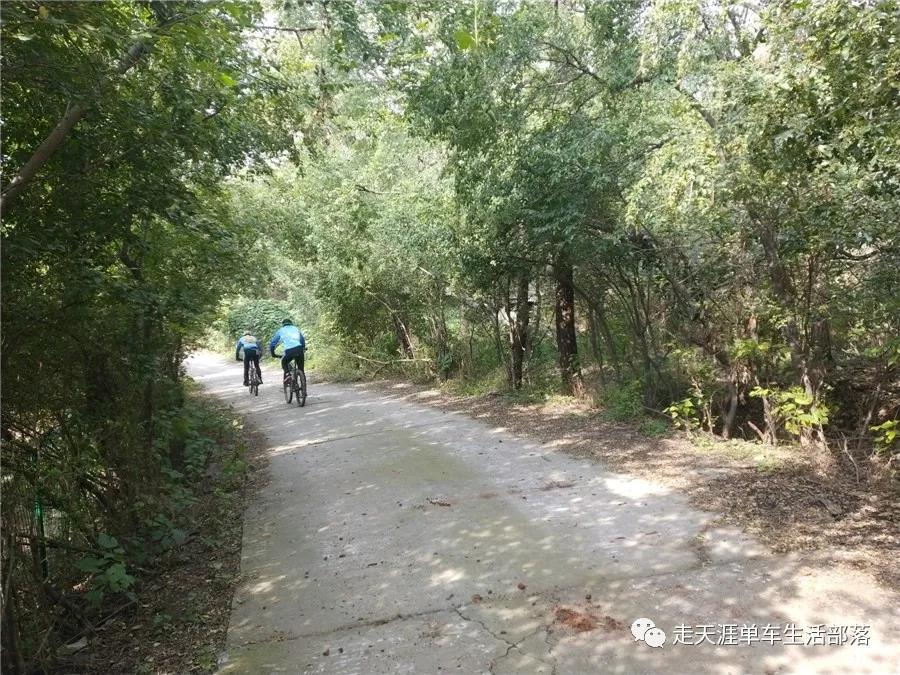 金秋十月约骑洛阳香山寺  赏最美秋色