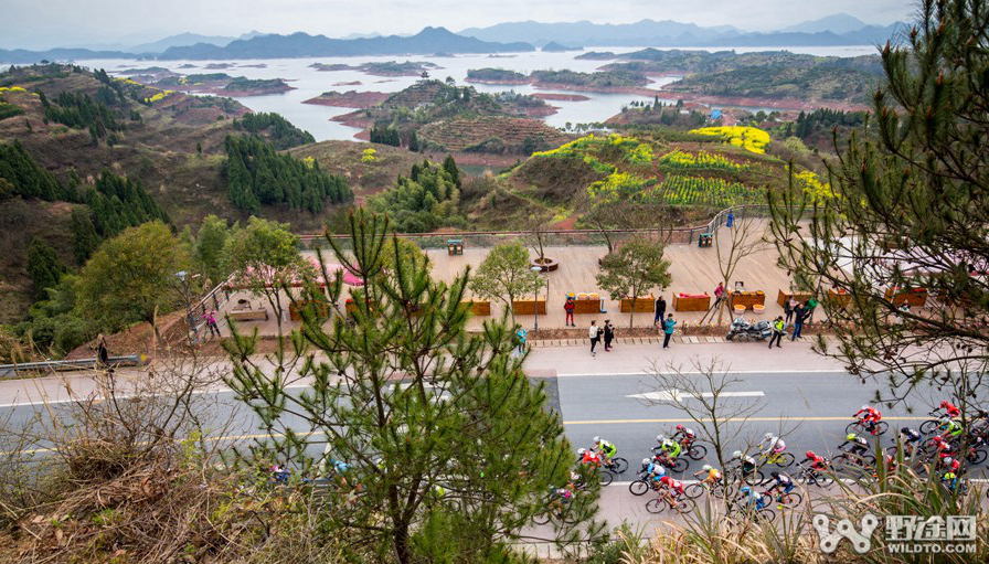 野途,野途传媒,wildto 环游千岛湖,在骑行中发现最惊艳的风景