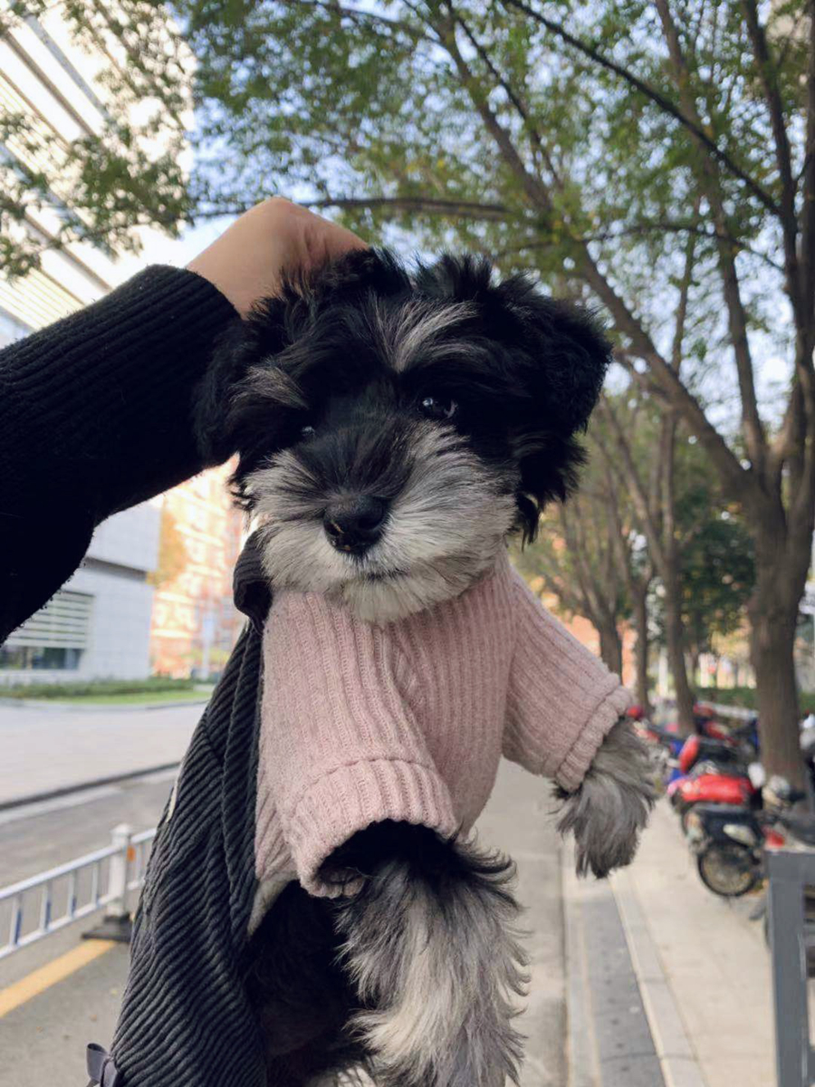 Hi！女神｜从专业队到领骑员 95后骑行小花魏喵喵