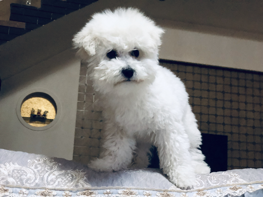 Hi！女神｜从专业队到领骑员 95后骑行小花魏喵喵