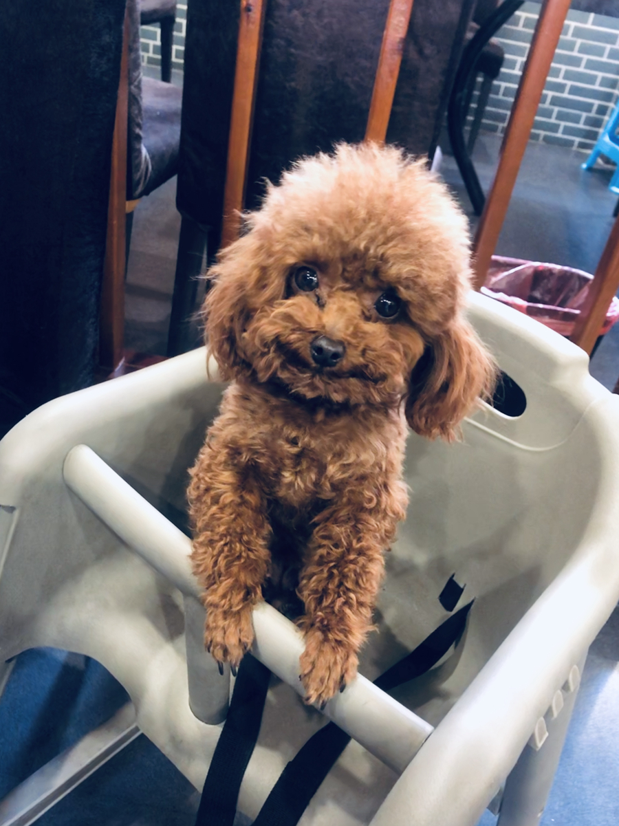 Hi！女神｜从专业队到领骑员 95后骑行小花魏喵喵