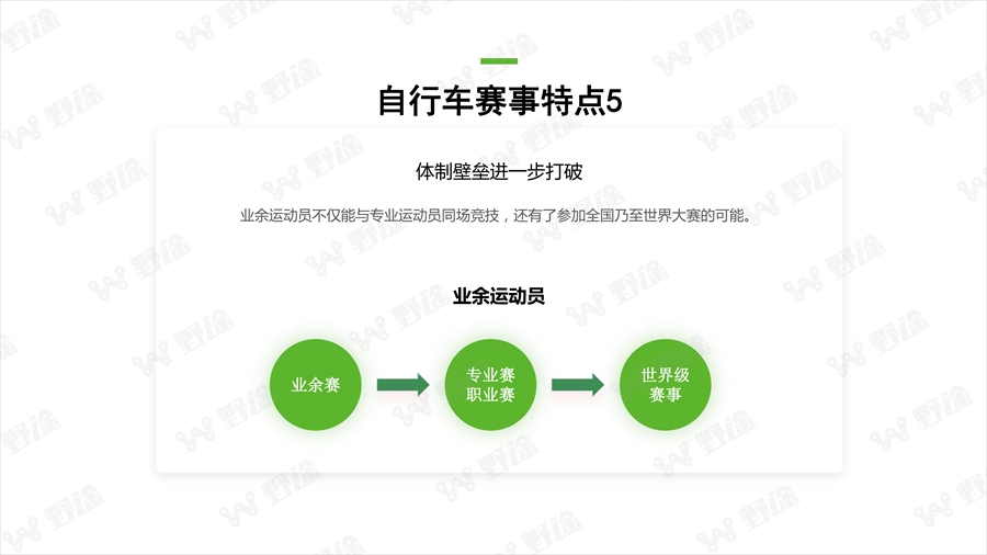 透視行業(yè)狀況  野途發(fā)布2019年度行業(yè)分析報告