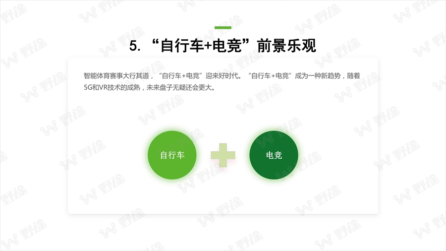 透視行業(yè)狀況  野途發(fā)布2019年度行業(yè)分析報告