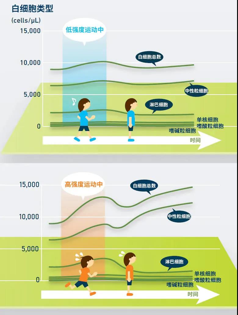 对抗病毒？论如何培养一个具有战斗力的身体