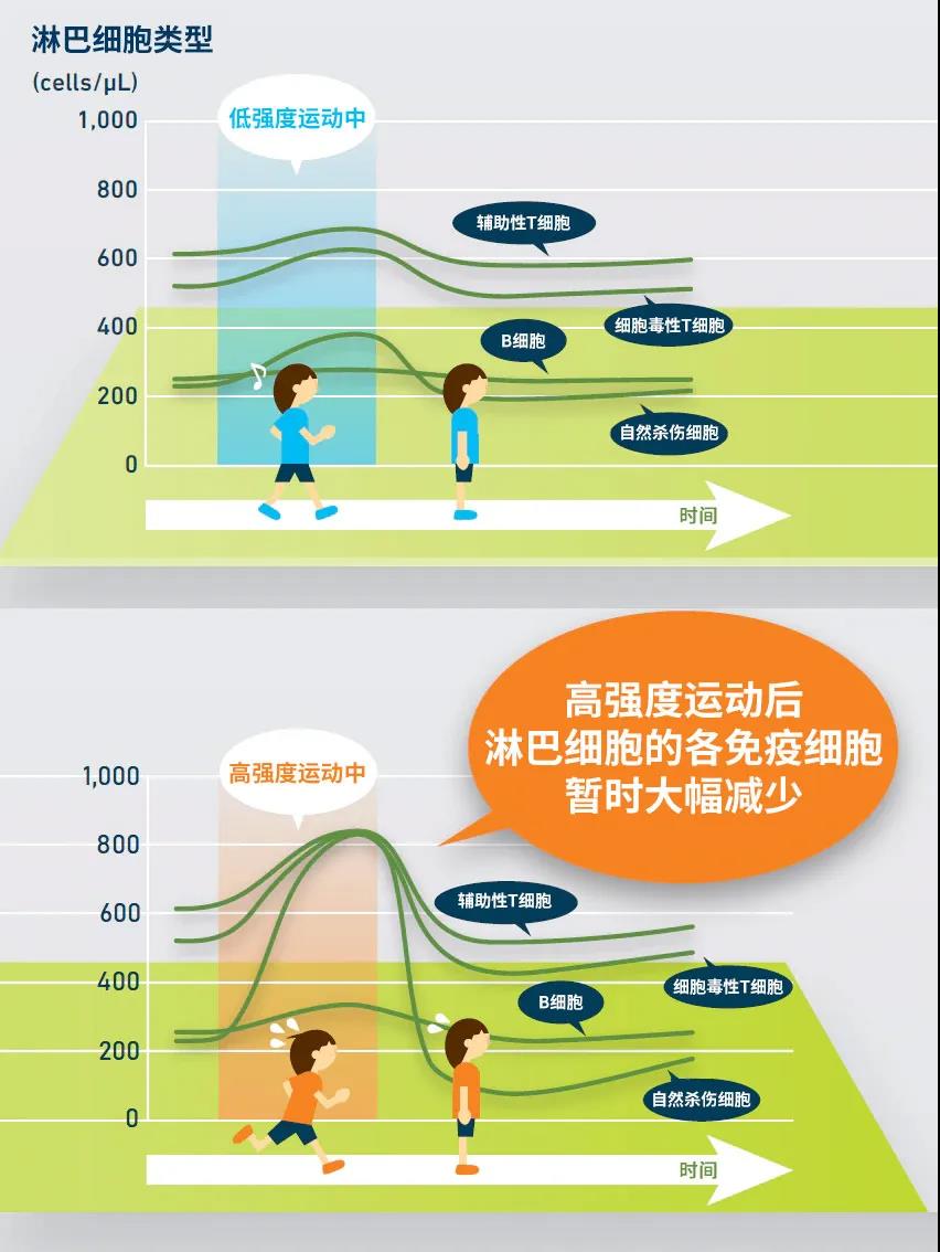 对抗病毒？论如何培养一个具有战斗力的身体