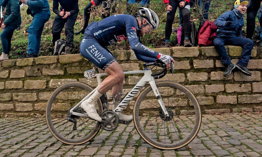 限量200台 Canyon推出Alpecin-Fenix队版