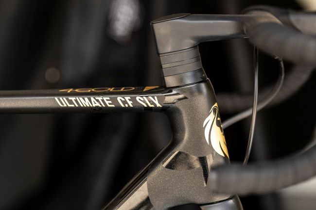 24k金+范德彪签名 95欧即可能赢Canyon Ultimate CF SLX