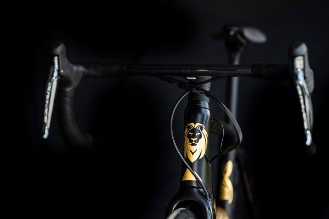 24k金+范德彪签名 95欧即可能赢Canyon Ultimate CF SLX