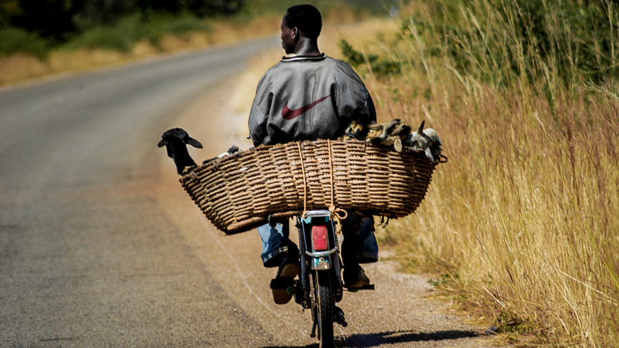 图集｜回顾非洲伟大的自行车比赛——环法索