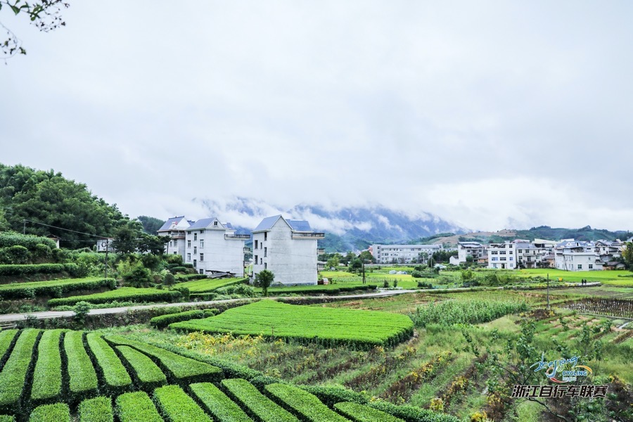 浙江联赛遂昌站 茶山雨战 郭大侠强势夺冠精英组