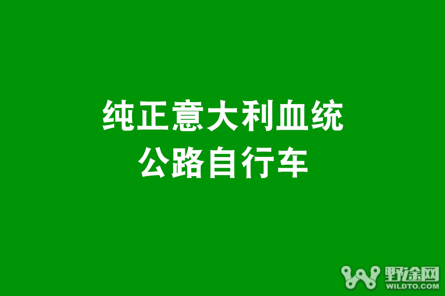 纯正意大利血统 盘点12款意式风情公路车