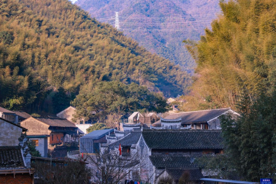 约起！这个周末，一起骑行看宁波春日美景