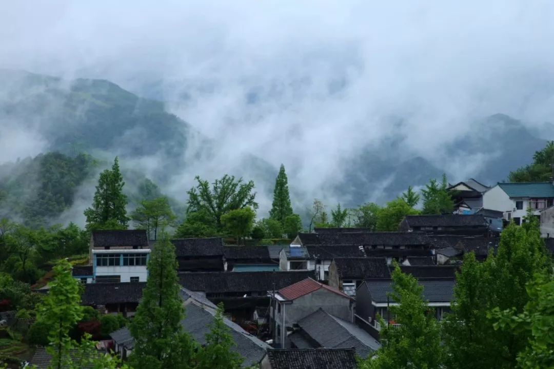 约起！这个周末，一起骑行看宁波春日美景