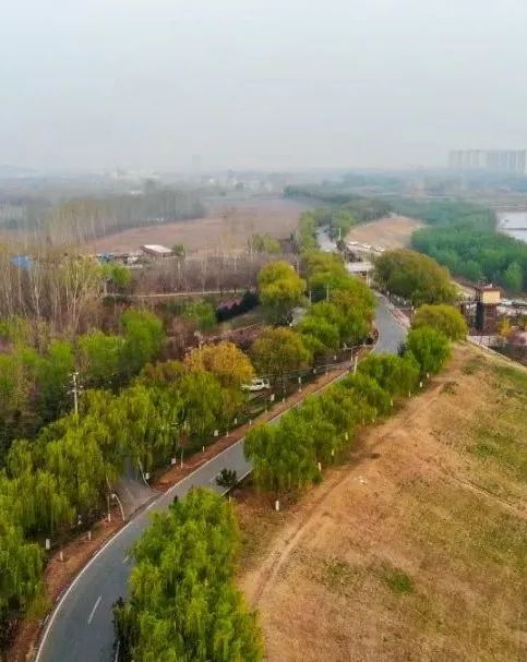 这条花路太梦幻！济南颜值爆表的单车骑行路线