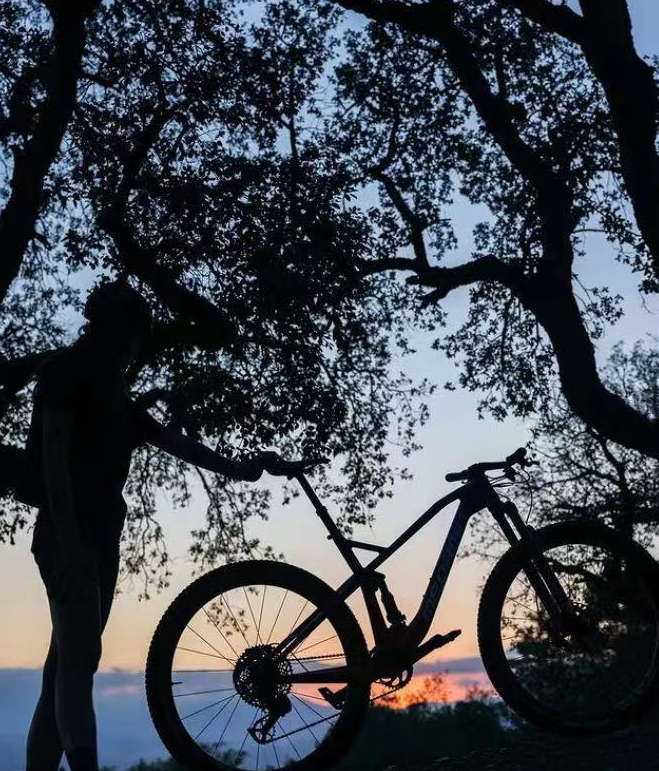 落日渐变色彩  涂装大师为Sami打造定制版涂装