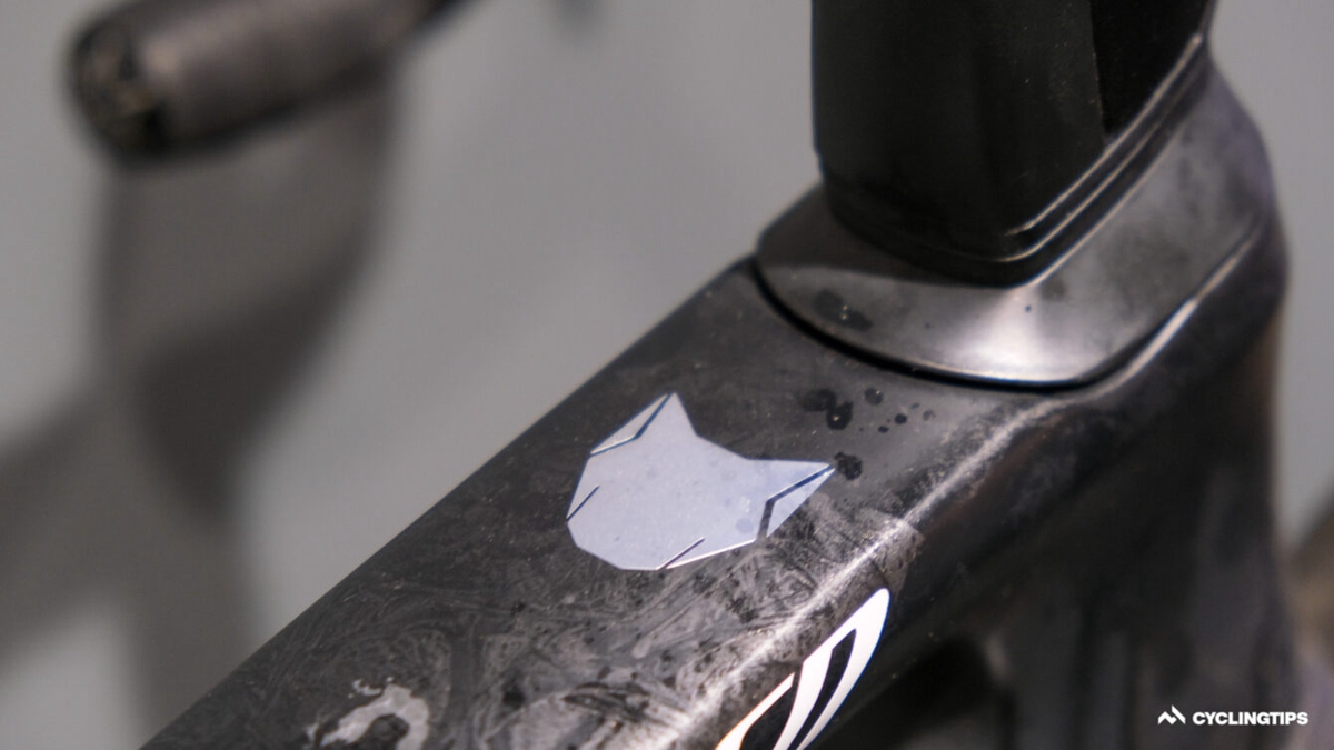 “菲”一般的Specialized 阿拉菲利普的世界冠军战车一览