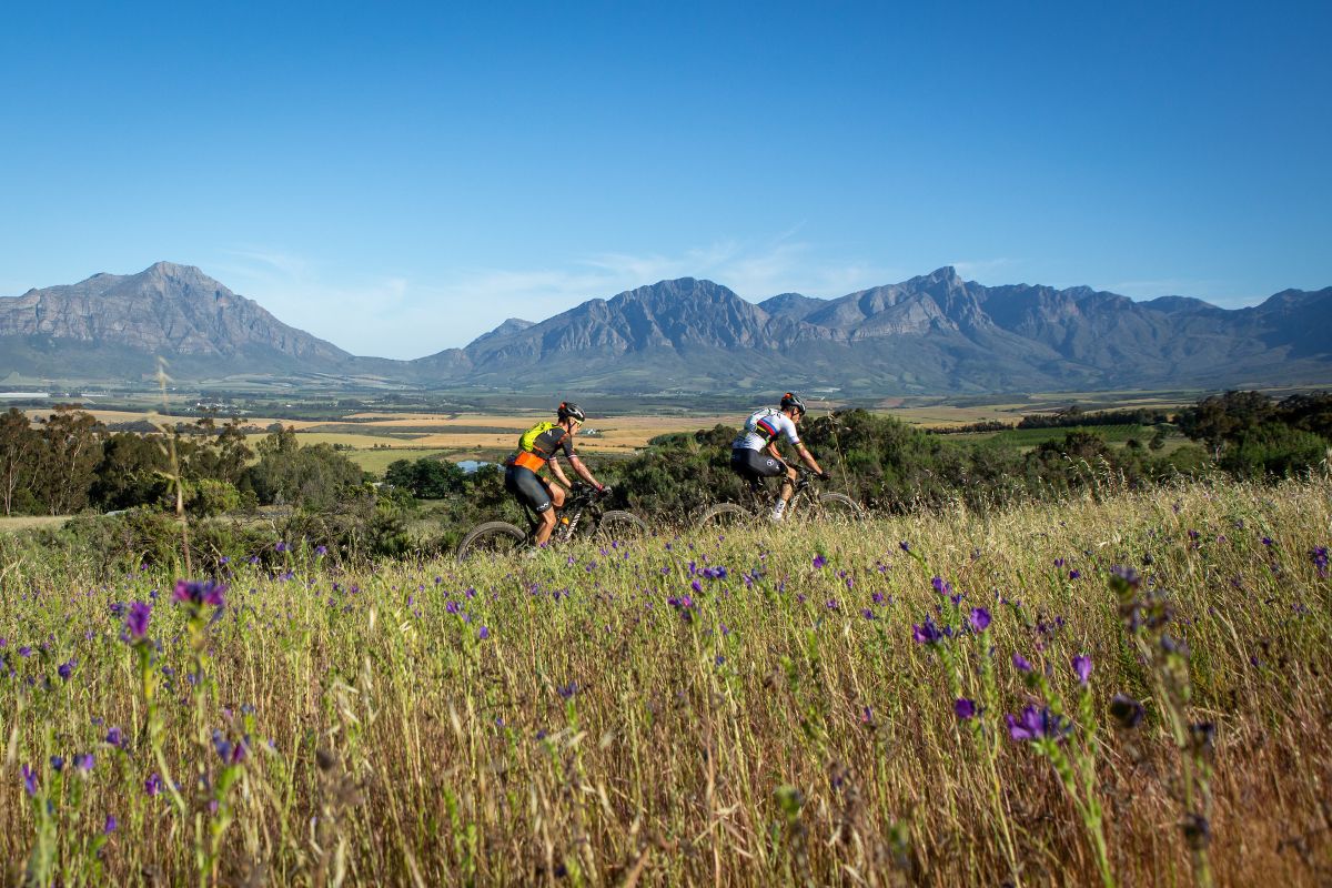 Cape Epic S3：Canyon车队夺赛段 闪电女队四连胜