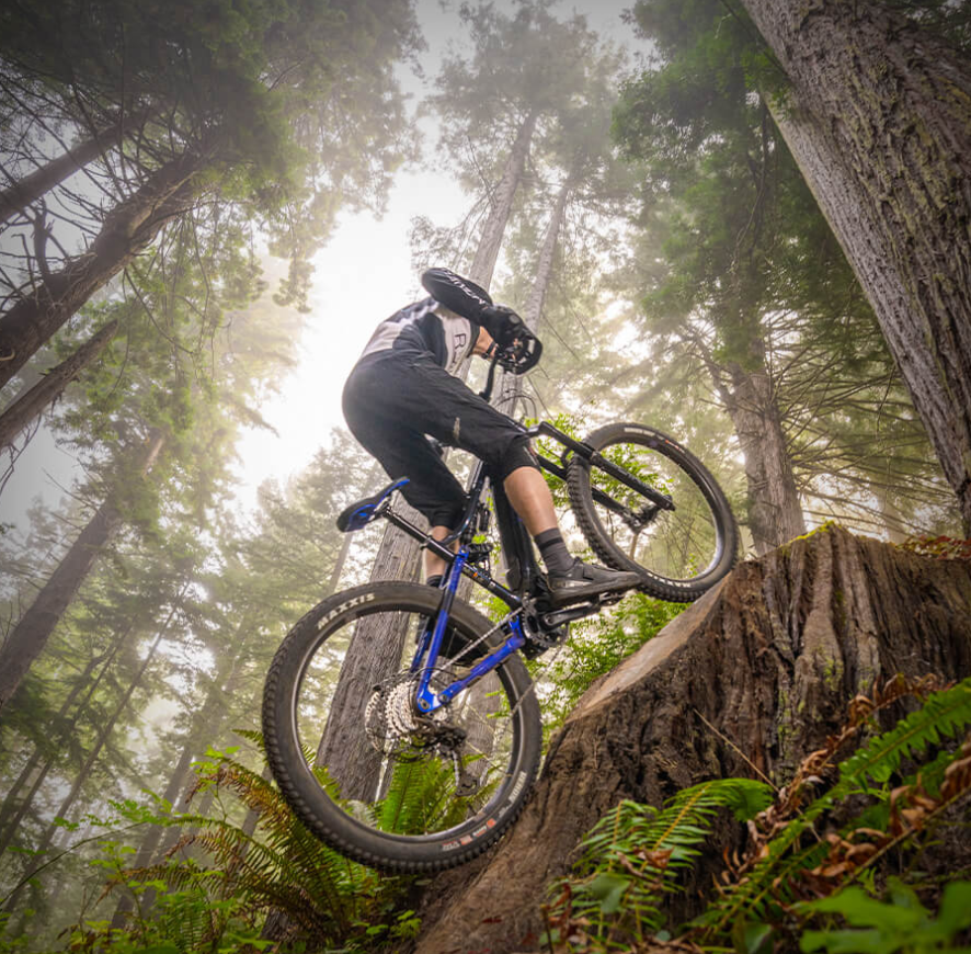 纯粹驾感  雅马哈推出YDX-MORO电助力山地车