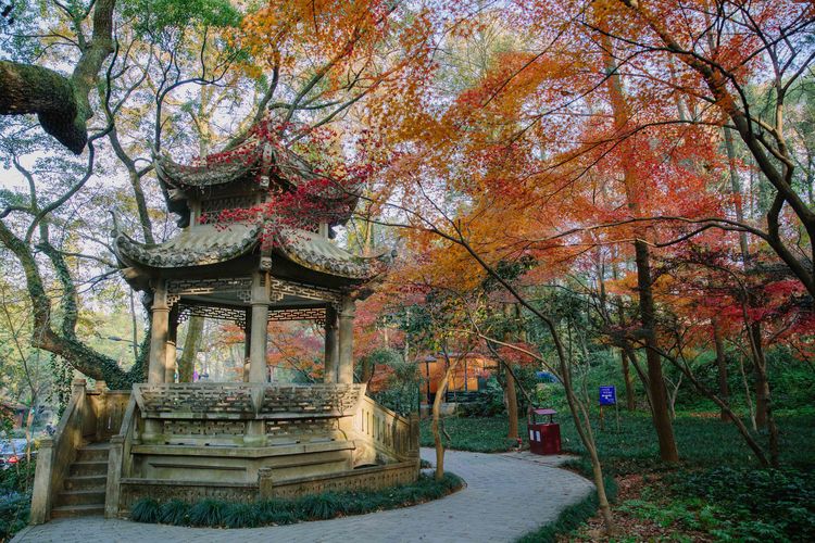 8条适合骑行旅游的路线，跨上单车去欣赏沿途的风景