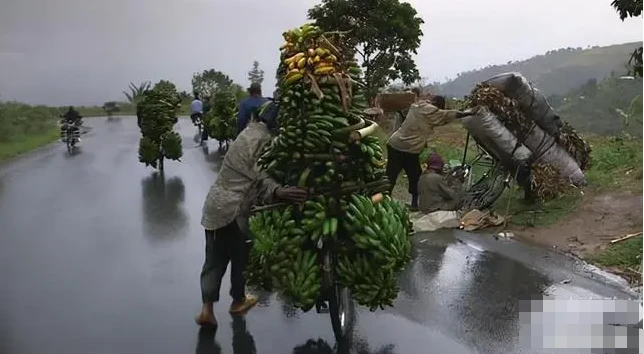 一个环法赛手都害怕的国家，靠中国二八大杠扛起了GDP