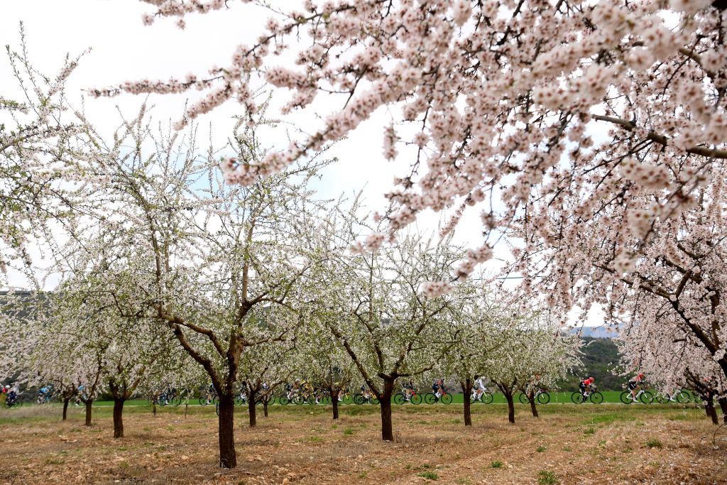 环加泰罗尼亚S4 阿尔梅达摘冠 金塔纳领跑GC榜