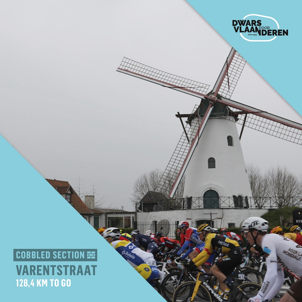 穿越弗兰德斯 | 重回巅峰 范德普尔喜提第二冠