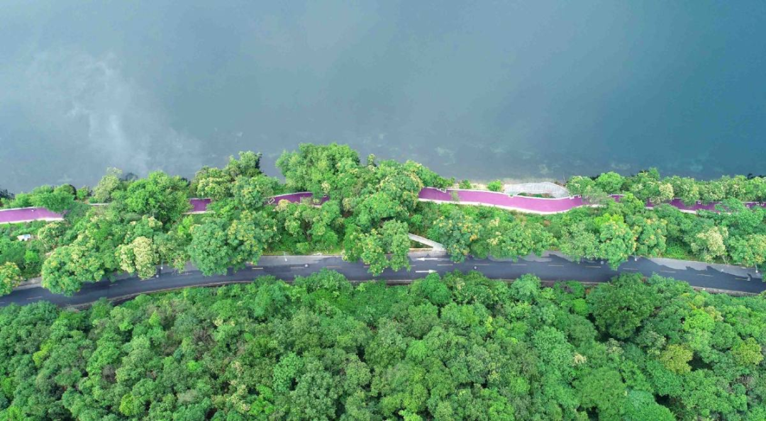 清明小长假，邂逅绝美杭州的九条骑行路线来了！