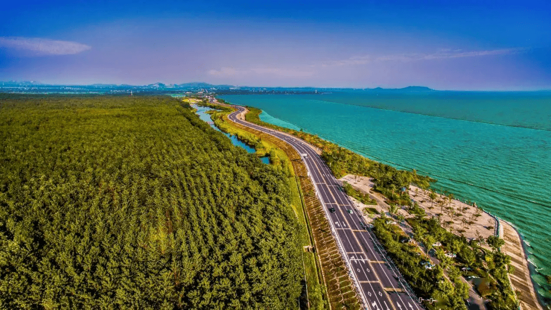 合肥那么大，八条骑行路线赶紧出发去看看吧！