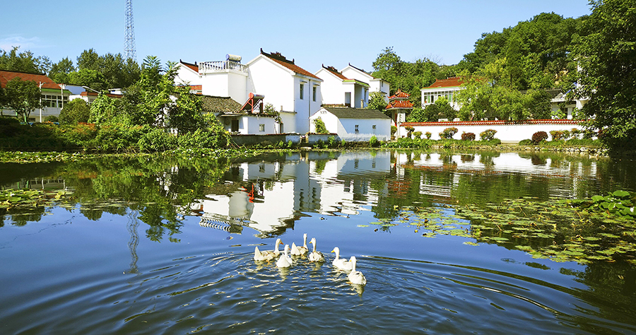 美景随行，盘点芜湖南陵适合骑行的好地方！