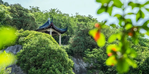 悠游太湖山水间！初夏吴中骑行攻略