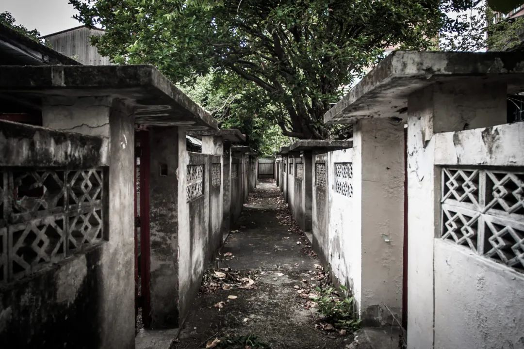 环台骑行（三）| 台西，城市一隅的风景