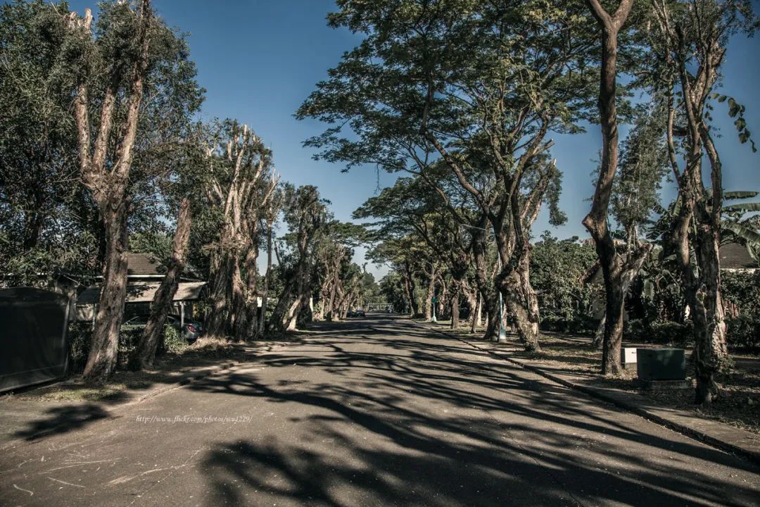 环台骑行（三）| 台西，城市一隅的风景