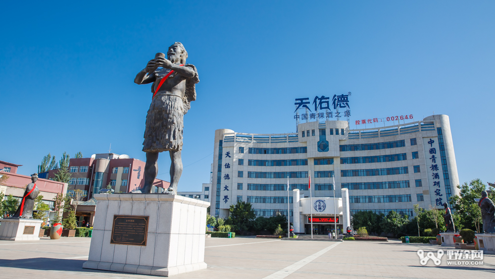 環(huán)湖賽S2 云南隊(duì)劉金春成新王 蘇浩鈺屈居亞軍