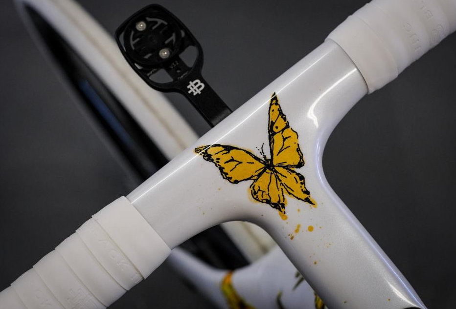 锤科蝴蝶自行车图片