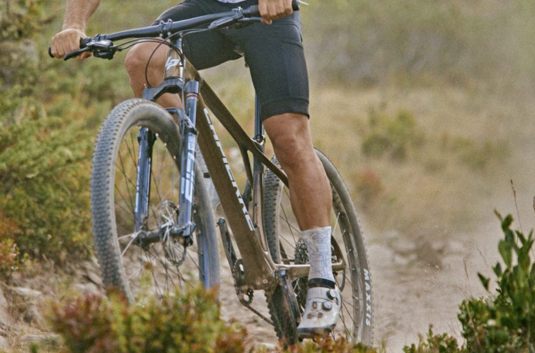 兼顾舒适与刚性  Lapierre更新Prorace硬尾山地车