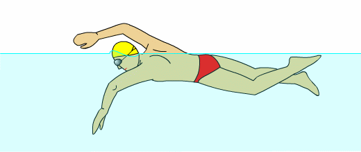 游自由泳经常胳膊酸痛无力？发错力了！