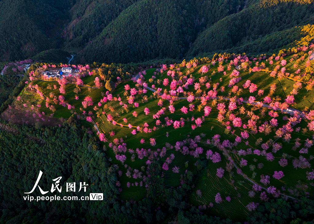 彩云之南，心之所向，云南這些騎游勝地你去過(guò)沒(méi)？