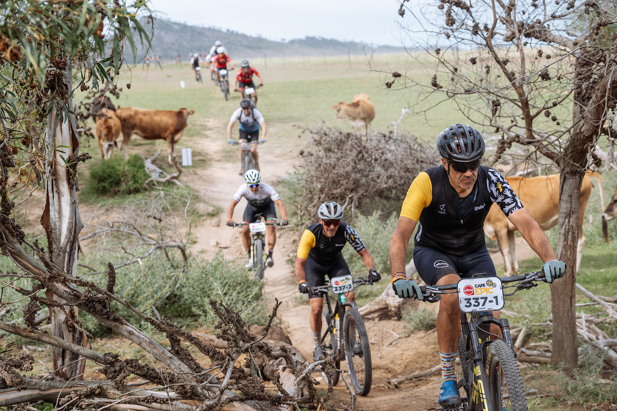 Cape Epic S3 闪电男队连庄 女子组总成绩明朗