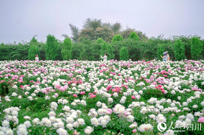 在眉山哪里骑游最合适呢？这6条路线，安排！