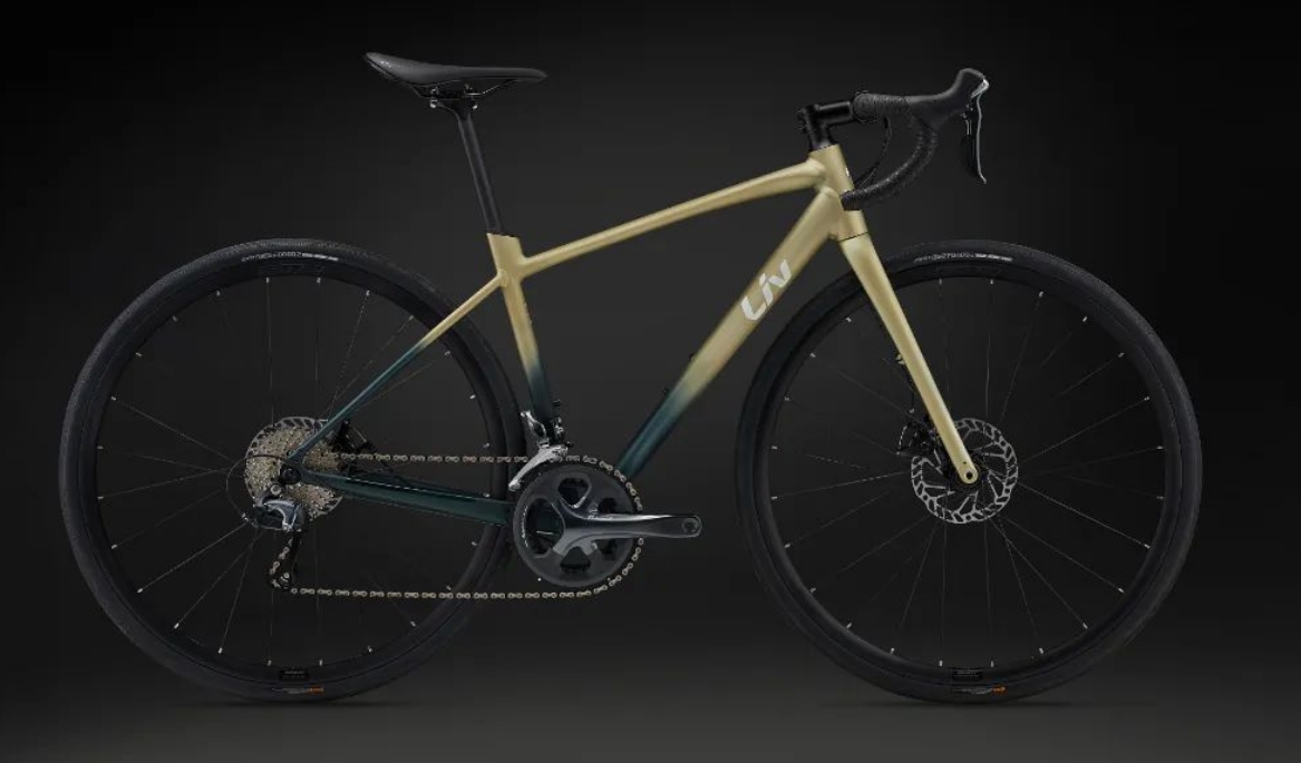 【上新了Liv】巨藻森林和月桂 | MY24 AVAIL AR 2